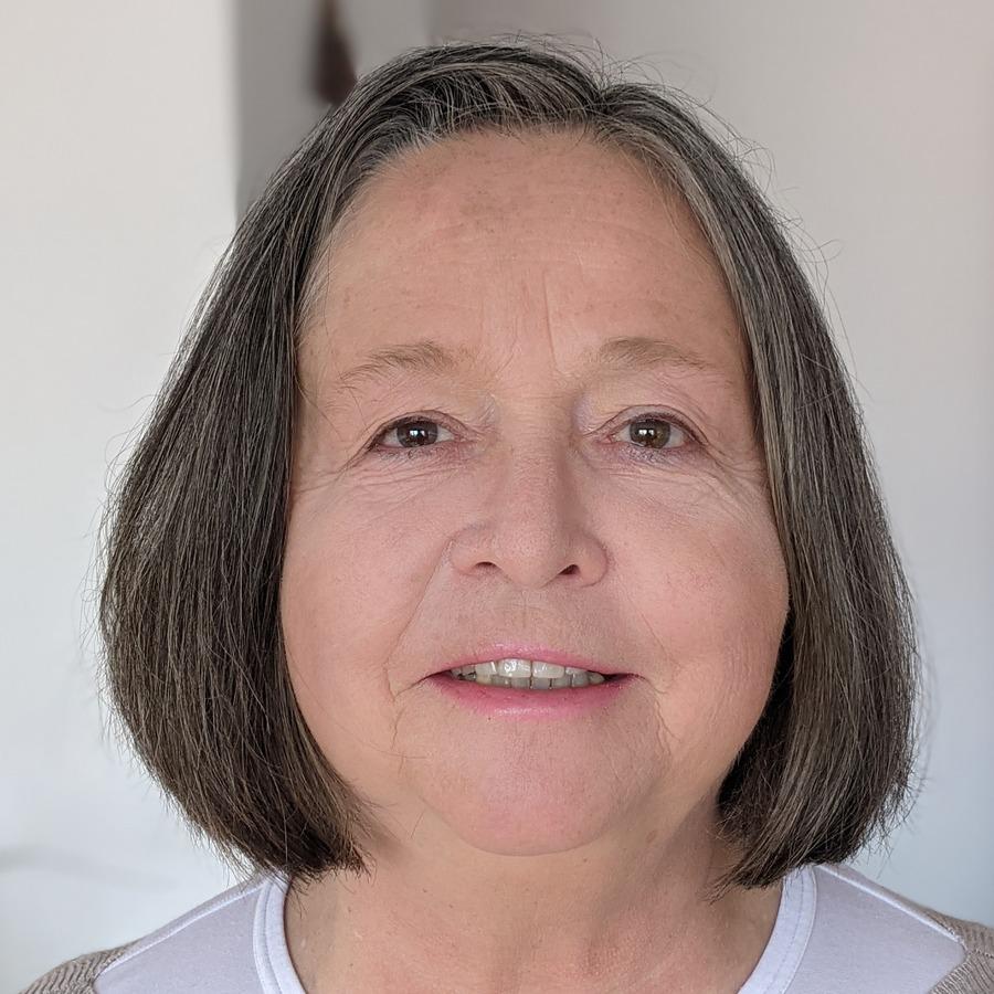 Dr. Veerle Vandeweerd